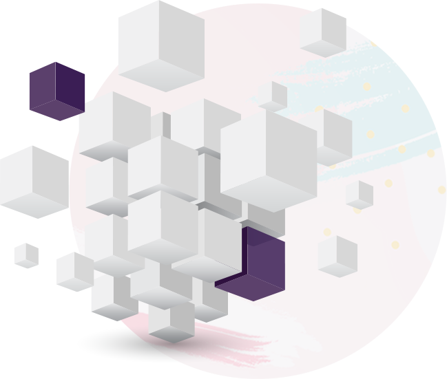 Rixgen Software Development Process